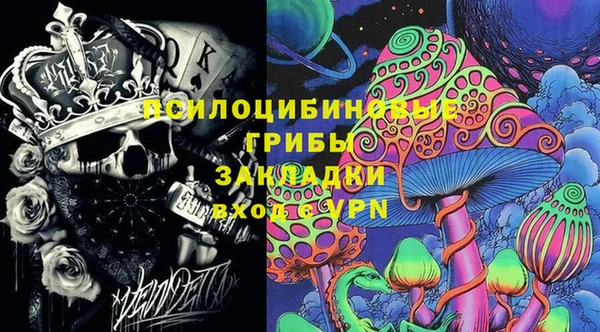 мдпв Арсеньев